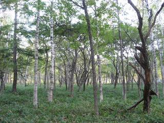 IMG_1177.JPG